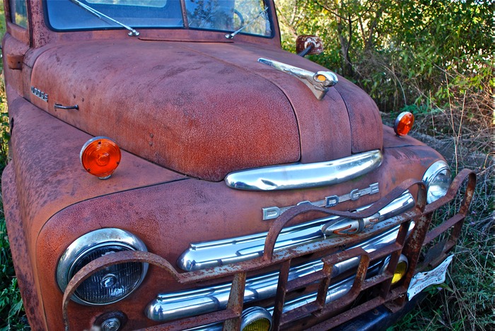 1950s dodgeDSC_0012