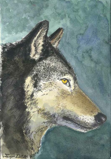 The Wolf